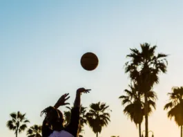 Top 9 Best Sports Books for Fans of All Ages