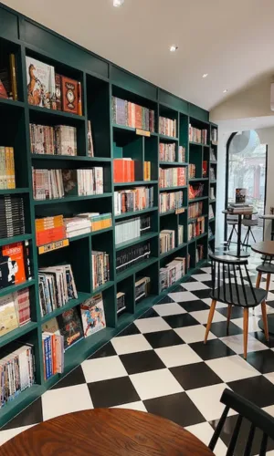 Home Library on Budget