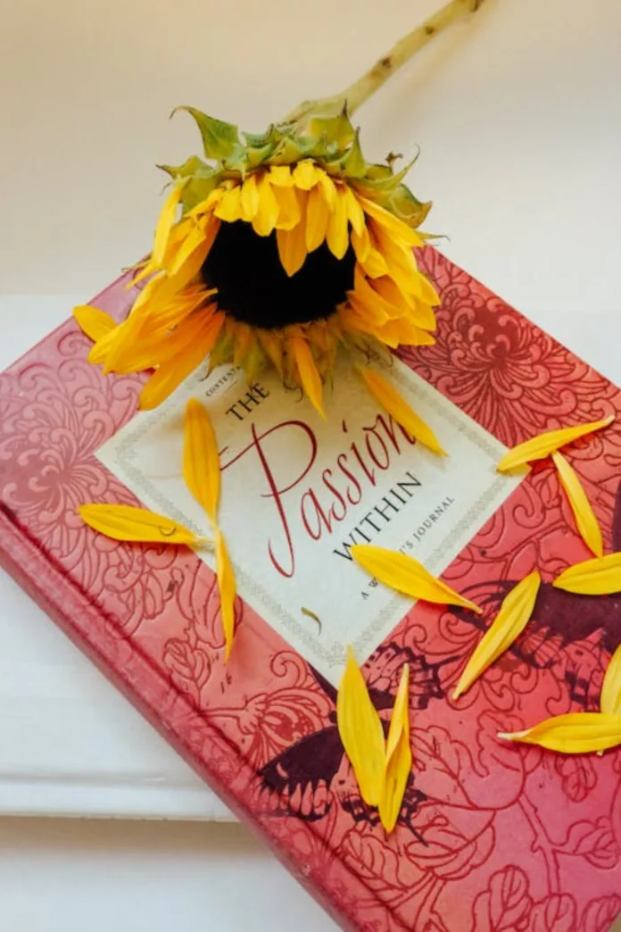 5 Best Coloring Books for Adults 5 Best Coloring Books for Adults