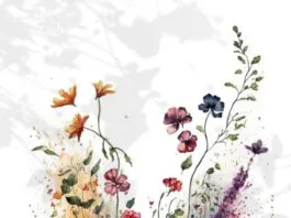 The Top 10 Classic Novels Everyone Should Read Classic Novels Everyone Should Read