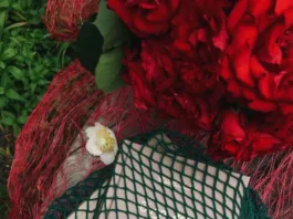 Top 7 Best Biography Audiobooks